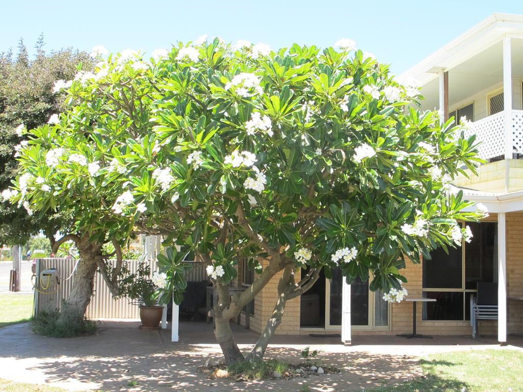 Kalbarri Riverfront Unitアパートメント エクステリア 写真